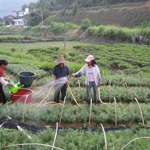 如何辨別優(yōu)劣復混肥